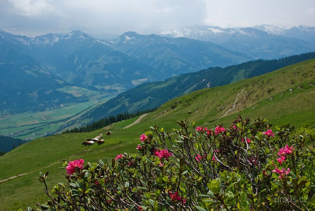 IMGP3298.jpg - Pinsgauerské údolí protéká řeka Salzach.