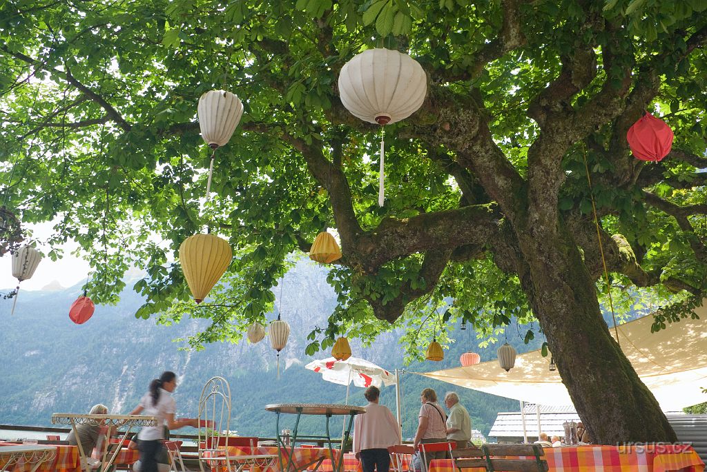 IMGP4266.JPG - Pěkné restaurace na promenádě kolem jezera nechybí...