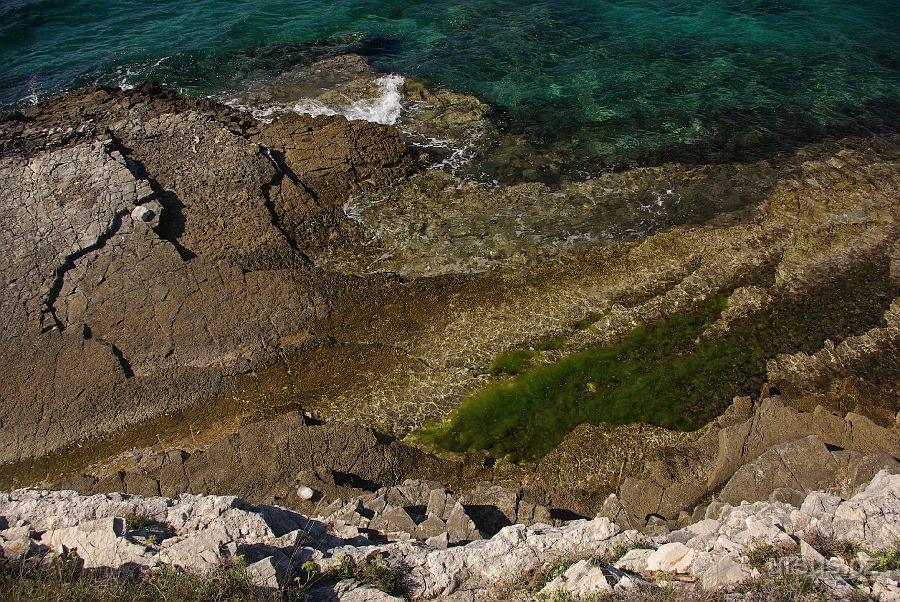 IMGP8801.JPG - Rozmanité terasovité vápencové pobřeží.