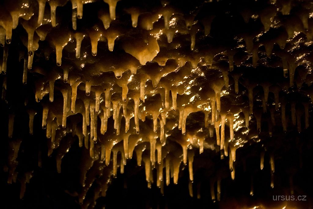 IMGP8389.jpg - Dále spousta mladý stalaktitů.
