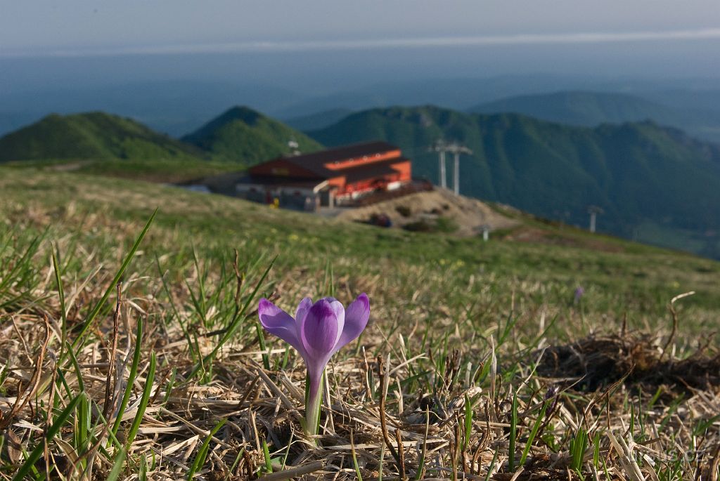 IMGP9242.jpg - Šafrán a horná štanica lanovky z Vrátnej.