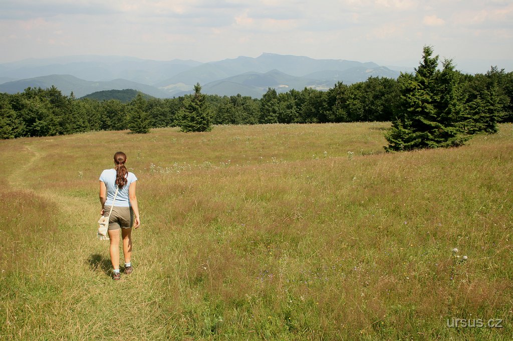 46.JPG - Naše sestupová trasa vedla hřebenem po zelené turistické značce až do sedla Samostrel, odkud sejdeme po žluté značce až k našemu tábořišti...