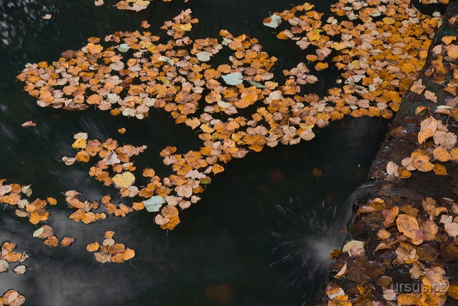 IMGP9697-2.jpg - Stejný záběr z jiného místa.