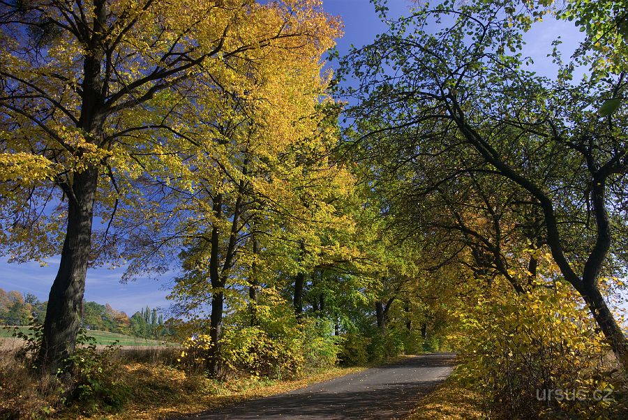 IMGP9727.jpg - A to už v neděli 12.10. vyrážím z Valmezu do Vigantic, kde mám sraz z Lukášem.
