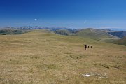 A opět nekonečné travnaté pláně. Příliš daleko je civilizace, zde si člověk užije ticho a nezvykle velký prostor k rozjímání.