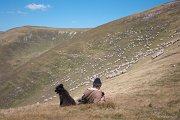 Ns strmých svazích opět potkáváme baču se svým stádem a věrným psem nadháněčem.