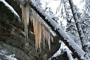Několikametrové rampouchy visí z pískovcových skal jako záclony. : Beskydy, Pulčínské skály, Valašsko, Vsacko, ledopády, zima
